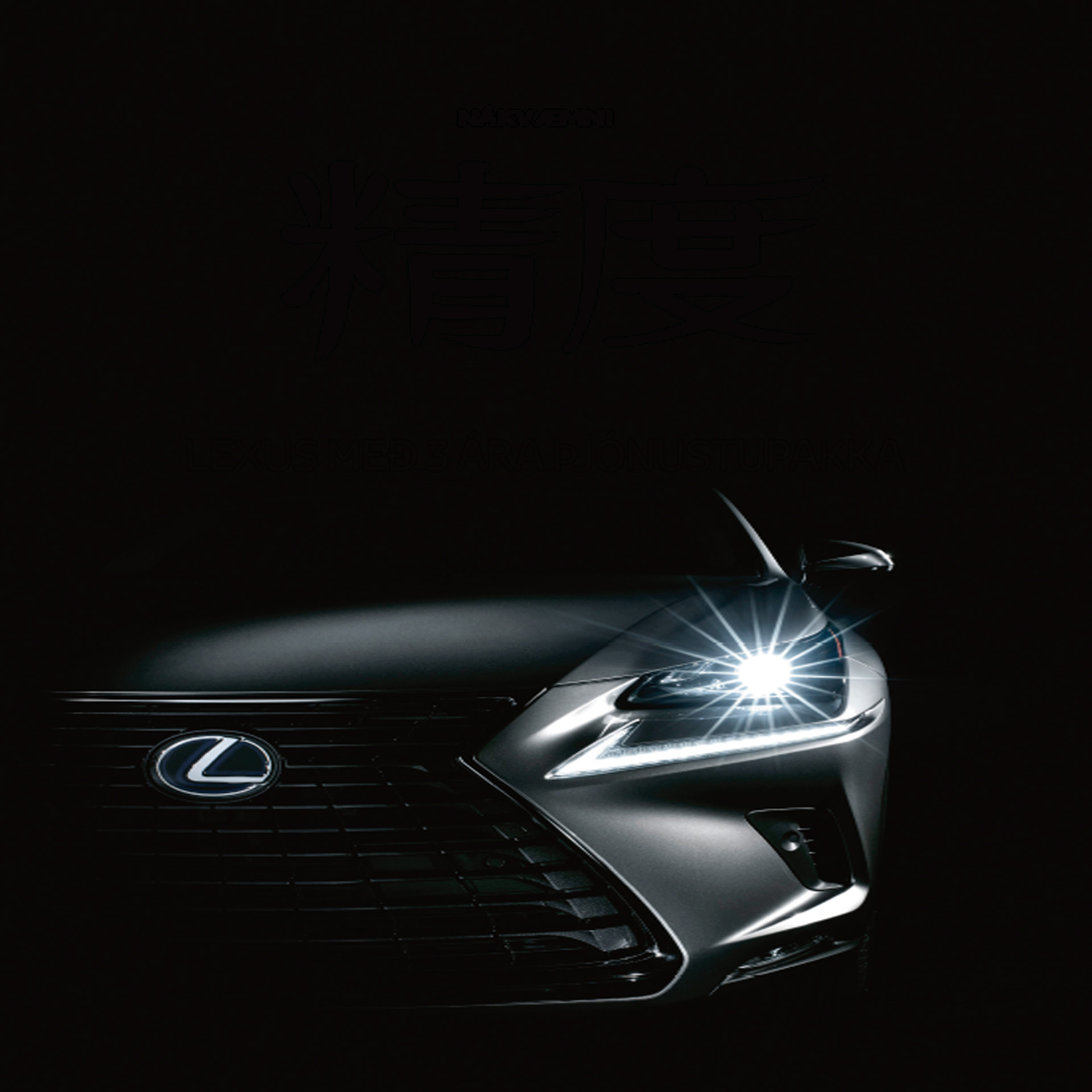 The Lexus spindle grille