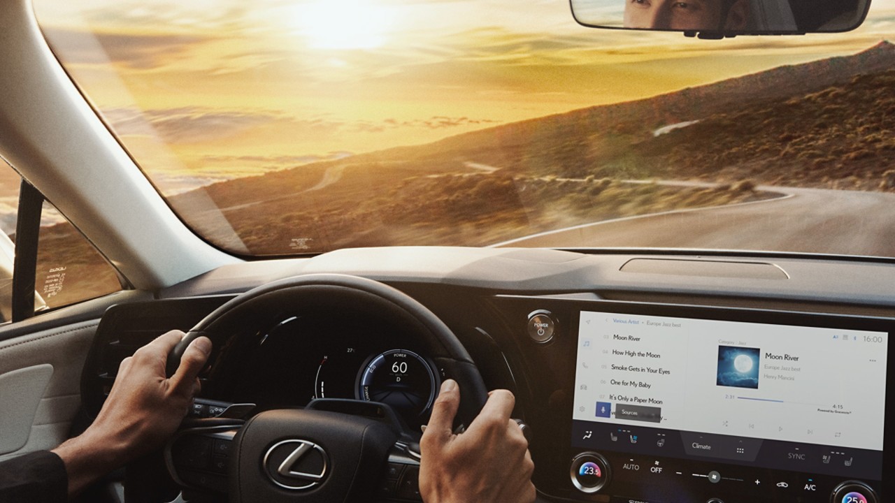 The Lexus RX steering wheel 